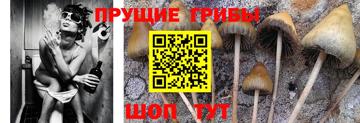 Псилоцибиновые грибы ЛСД  Вход с VPN  Североуральск 