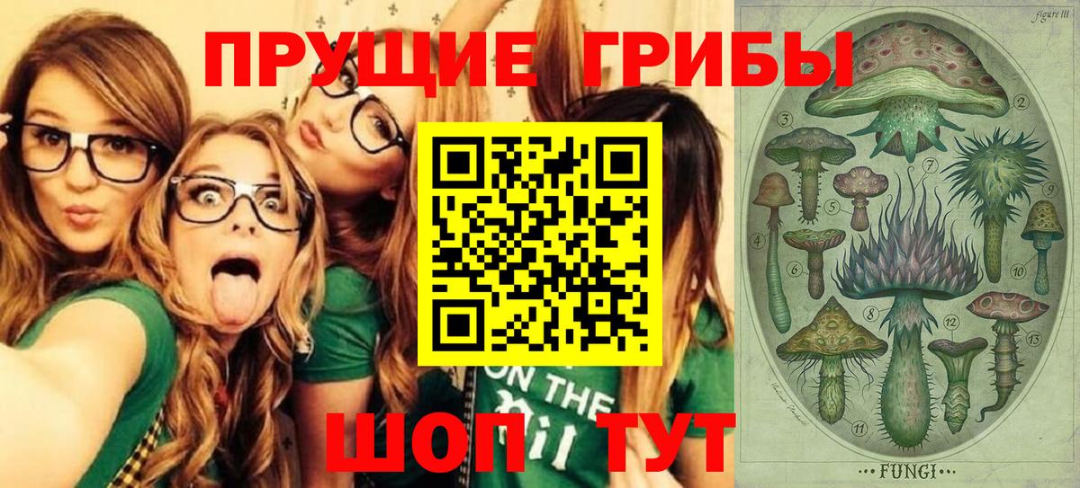 Псилоцибиновые грибы Psilocybe Североуральск